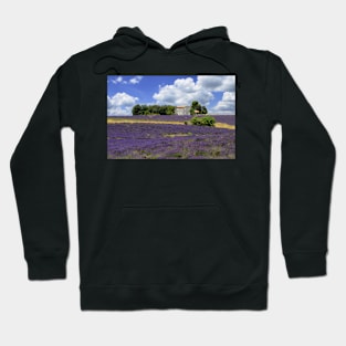 The house in the lavander Hoodie